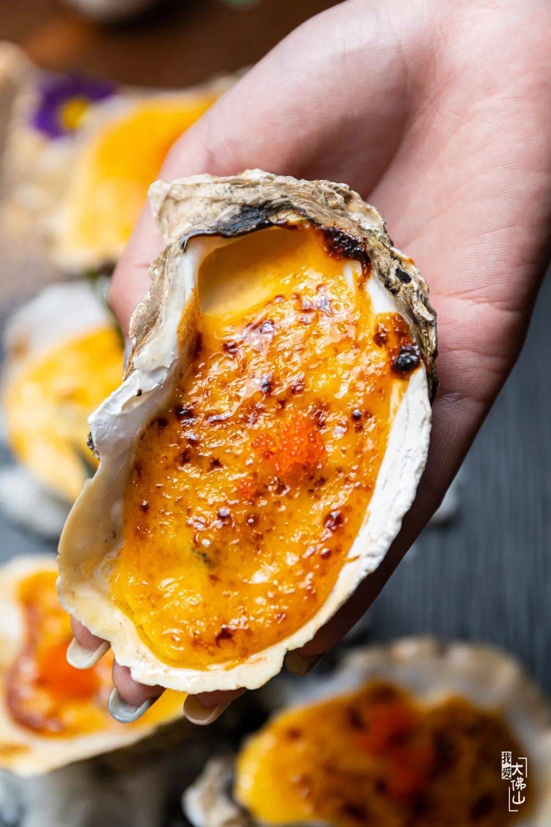 さん   吉列炸生蚝