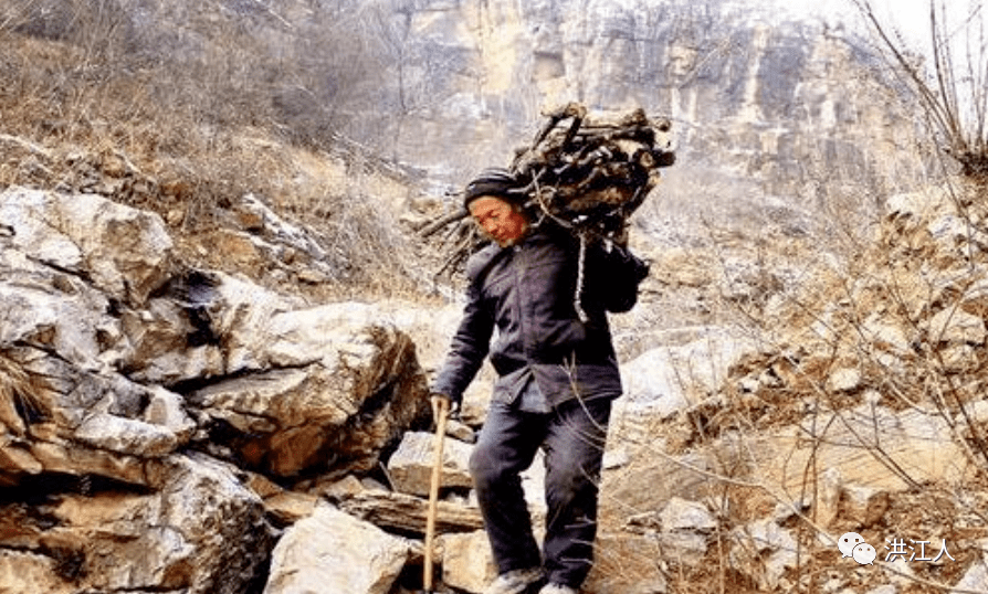 上山砍柴的洪江人