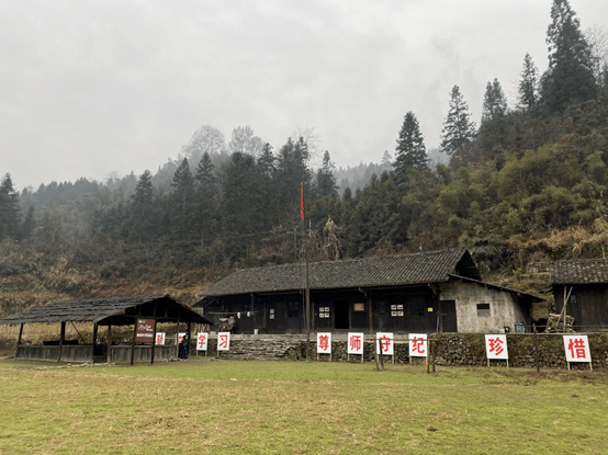 江山如此多娇从剧中走进现实碗米溪乡村旅游发展迈入快车道