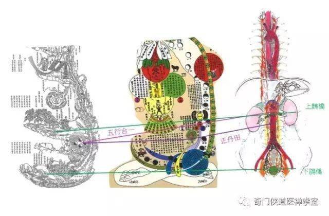 《内经图》中隐藏着返老还童奥秘(收藏)