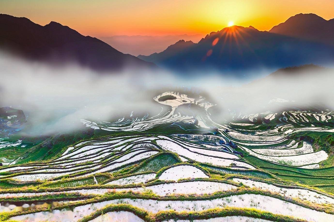 浙江云和梯田是华东最大的梯田群被誉为中国最美梯田
