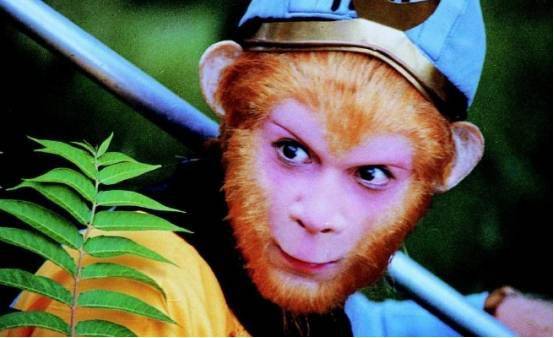 别笑!这事恐怕还是真的_猴子