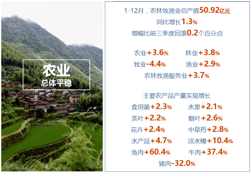 邵武gdp_邵武包糍图片(3)