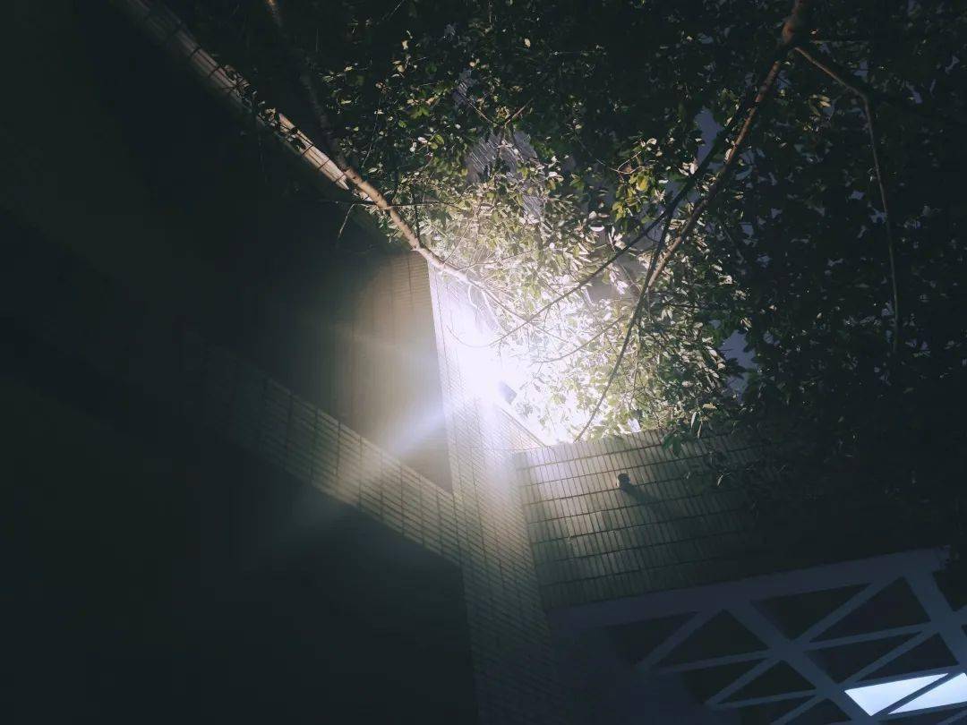 在你的眼前重重障碍一缕阳光穿过当某个瞬间>>曦光·照亮前方路  vol