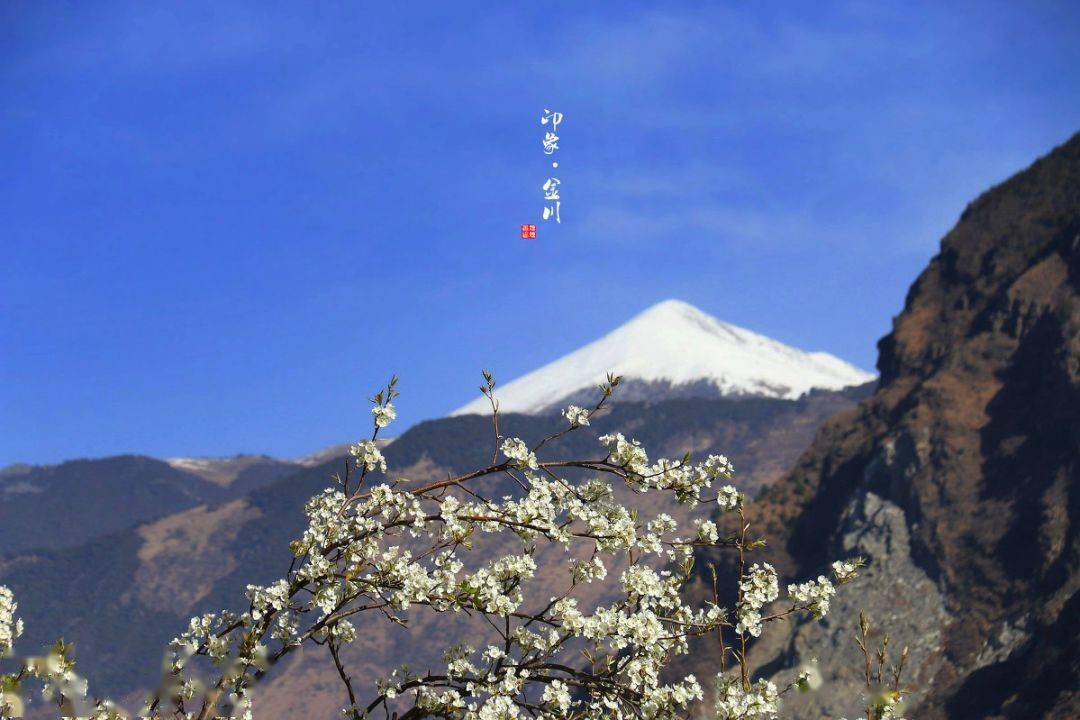 嘉阳油菜花遇上金川梨花 一到3月就美炸的 川西小江南 还能坐蒸汽火车穿越花海 行程