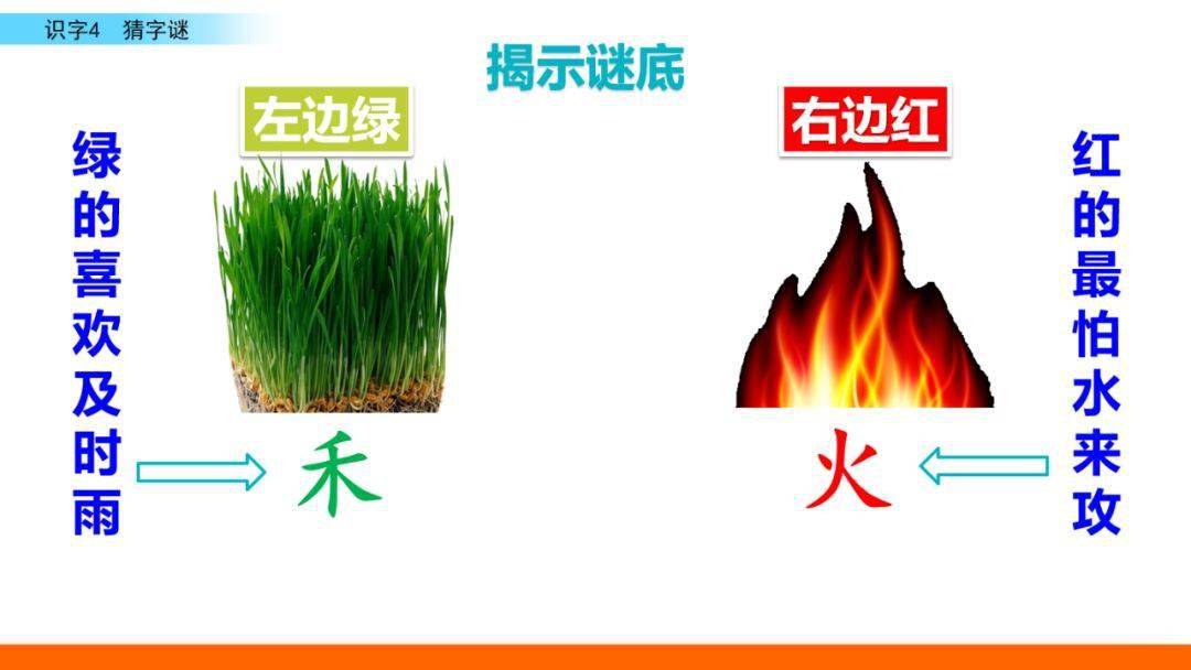 ①小草喜欢春风 ②害虫最怕青蛙5.