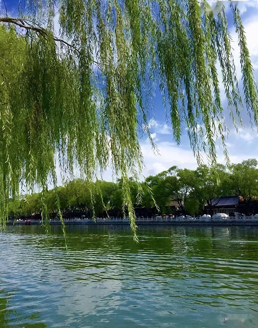 如今,一汪春水弄得我人陶醉.