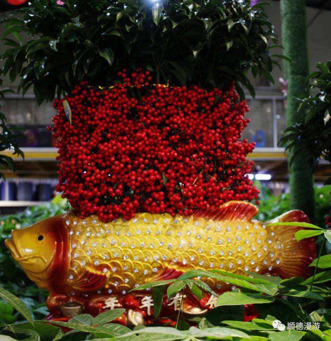 顺德大良花市2021