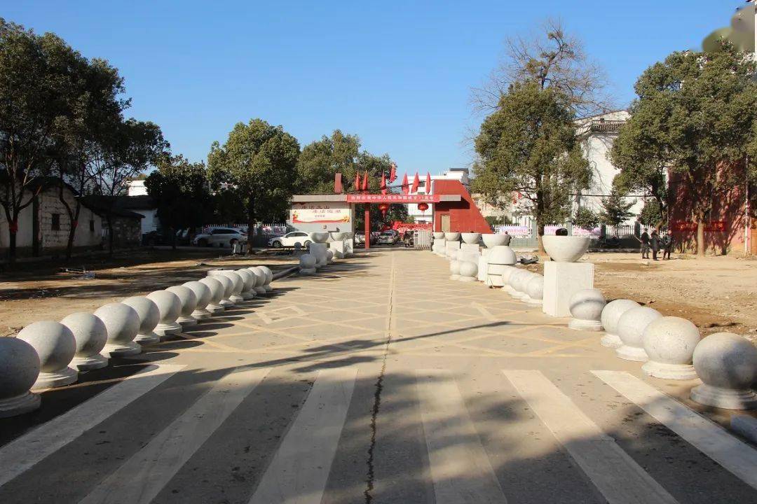 【"四大活动"进行时】临湖镇:城乡环境综合整治"旧貌"换"新颜"