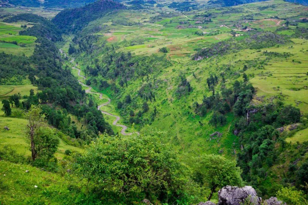 綠石林景區總面積有近61平方千米,走進爬滿苔蘚的綠石林會讓你想起