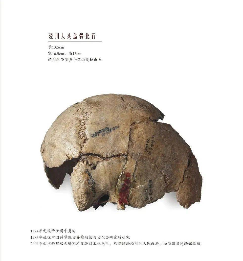 印度多少人口2021年_印度人口分布(3)