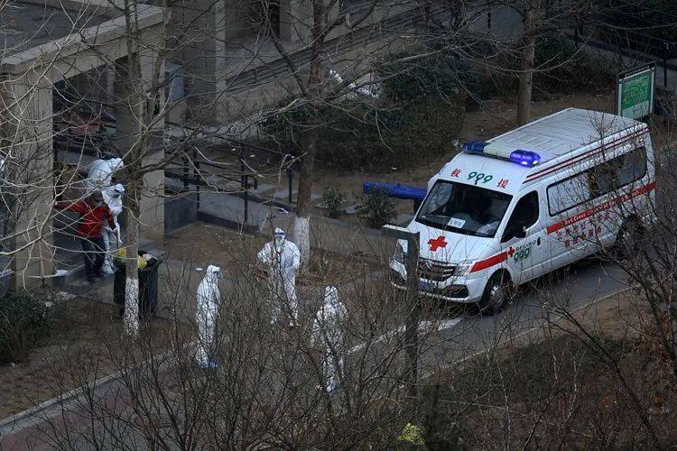 封闭隔离小区的13天全程目击