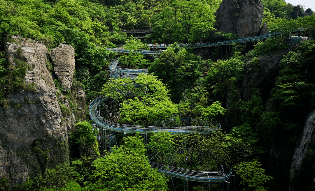 預定規則—套票包含:大門票 福鼎 楠木林 馬仁古寺搶購時間:20212 2