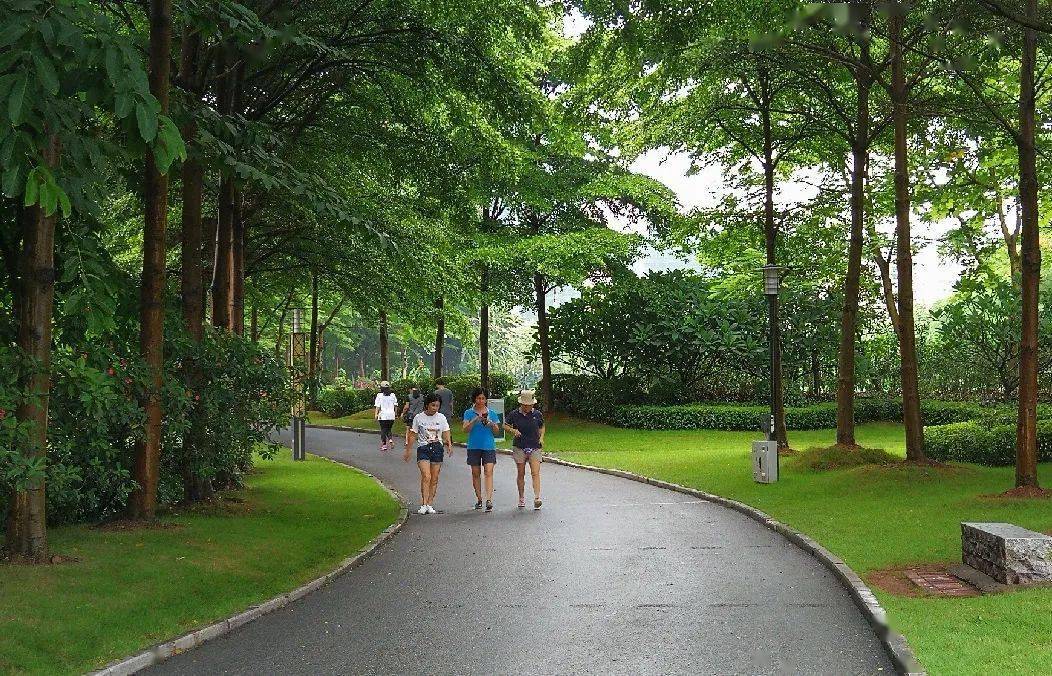 休闲,消费,娱乐,康养……兴业人对这样的新体验表示惊呆了~_南兴