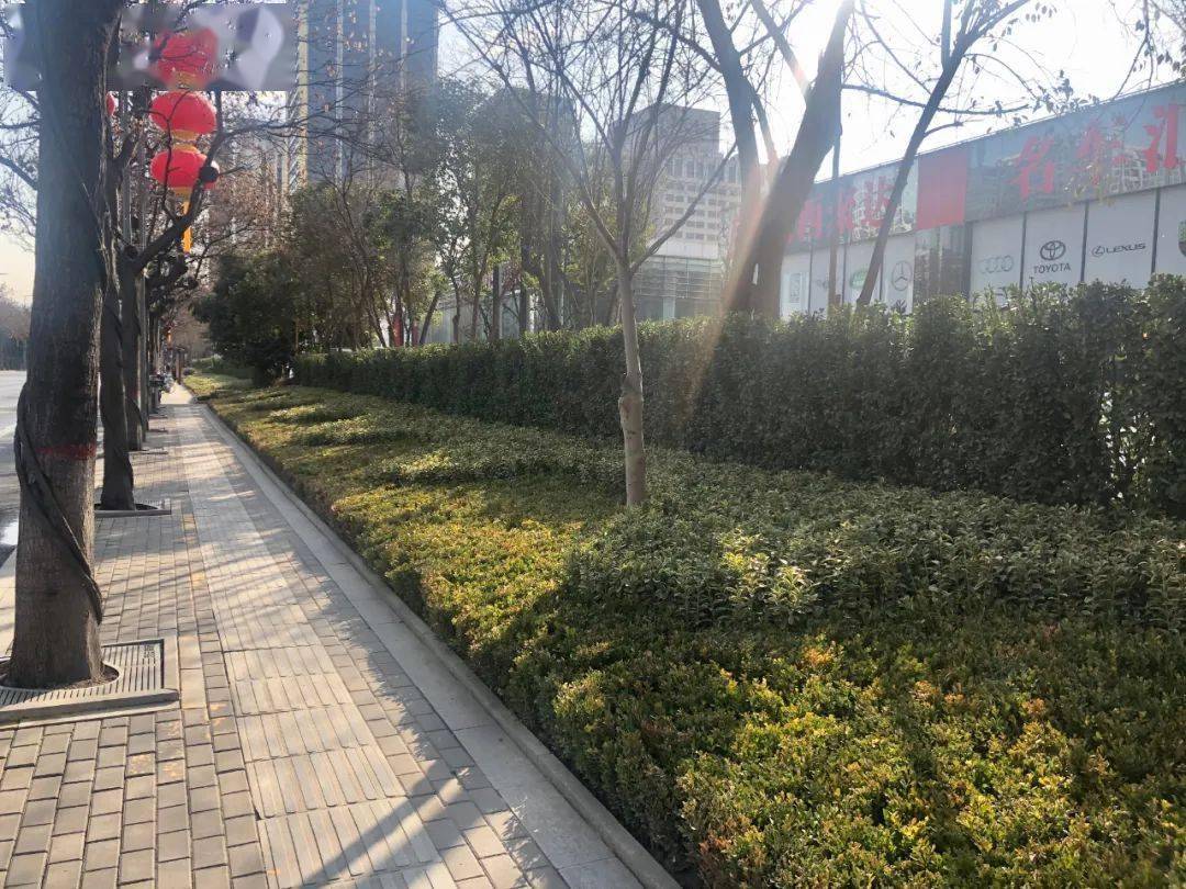 下绣功用匠心高新区园林绿化有巧思