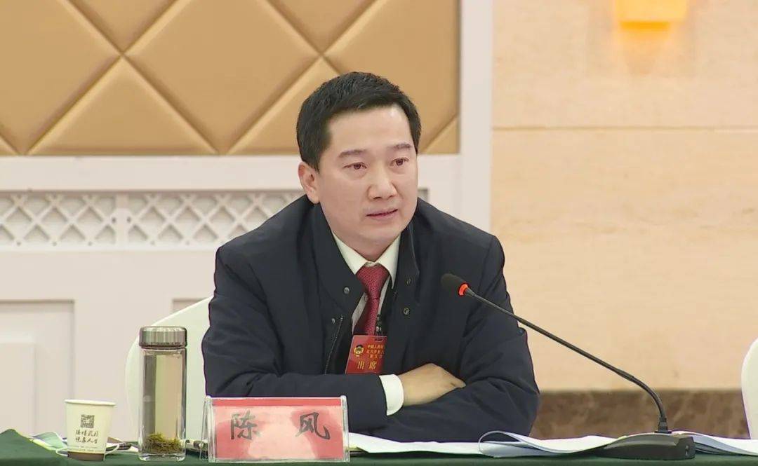 聚焦两会陈风参加市政协八届五次会议工商联组讨论