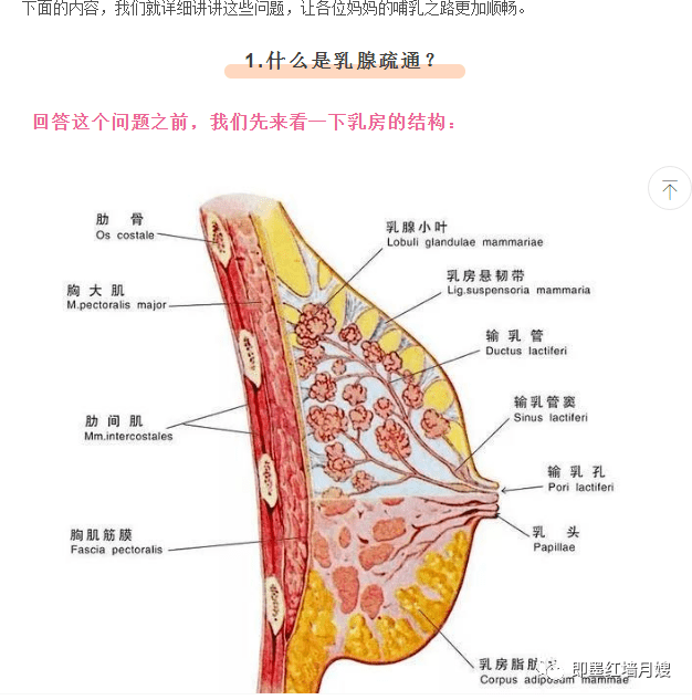 乳腺篇需要乳腺疏通的五種情況快看有沒有您