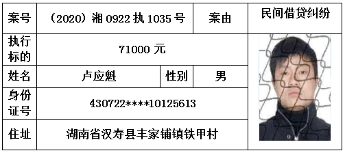 桃江姓氏人口姜_桃江竹海(3)