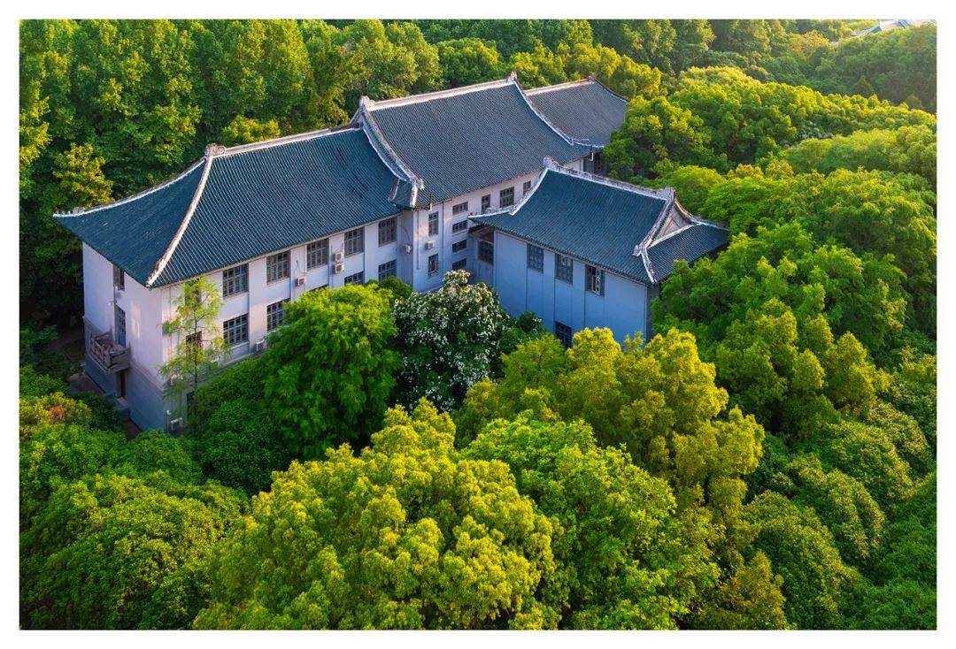 夜读 树的诗 大树