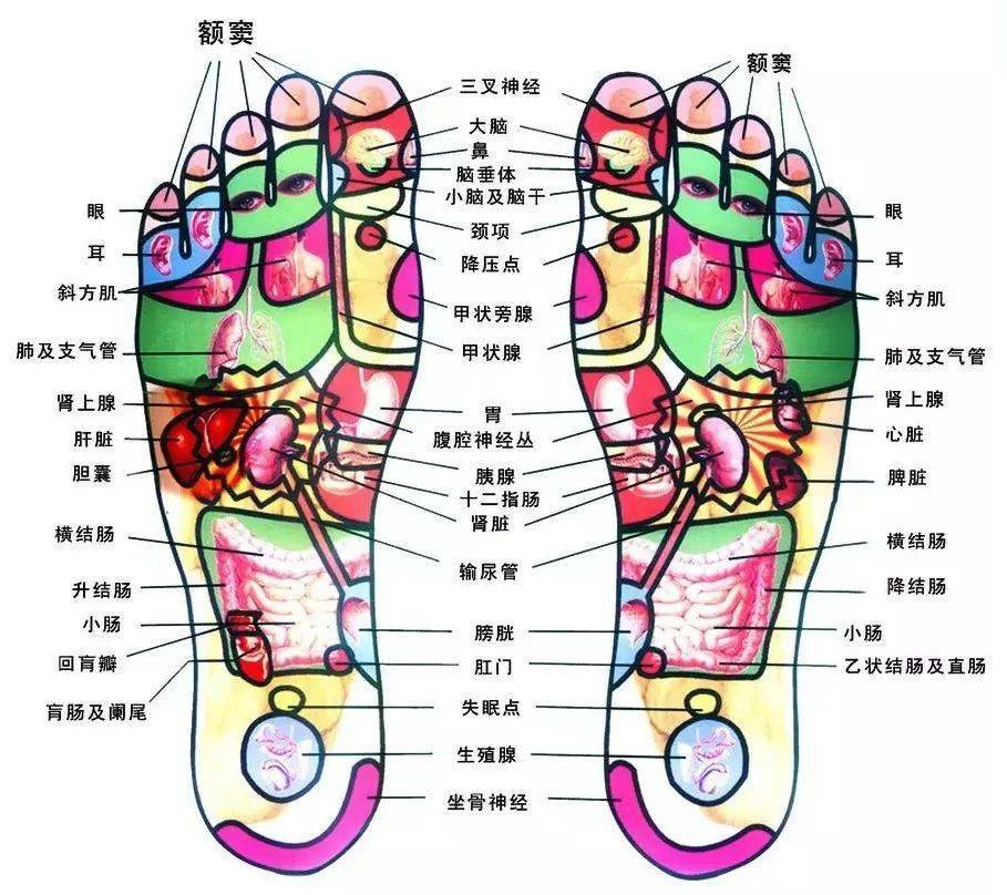 5e9a620a9ae04d029b86d186e9815101.jpeg