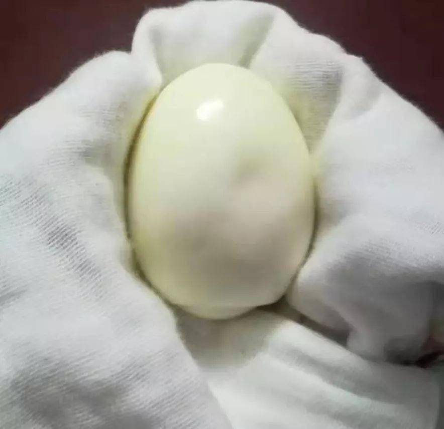 滚蛋可是正经疗法滚一滚就能调理这些常见病