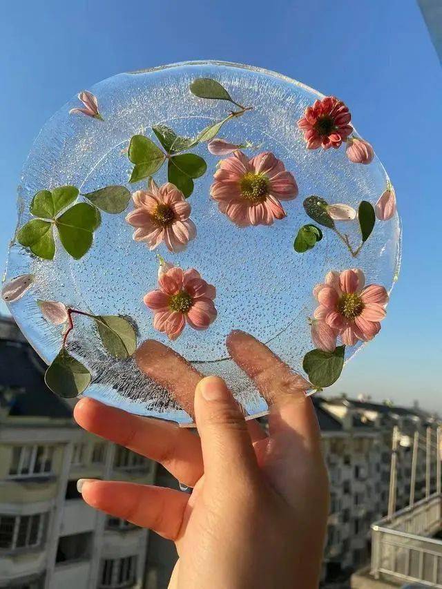 今年最流行的冻冰花,美上热搜,这也太好看了叭!