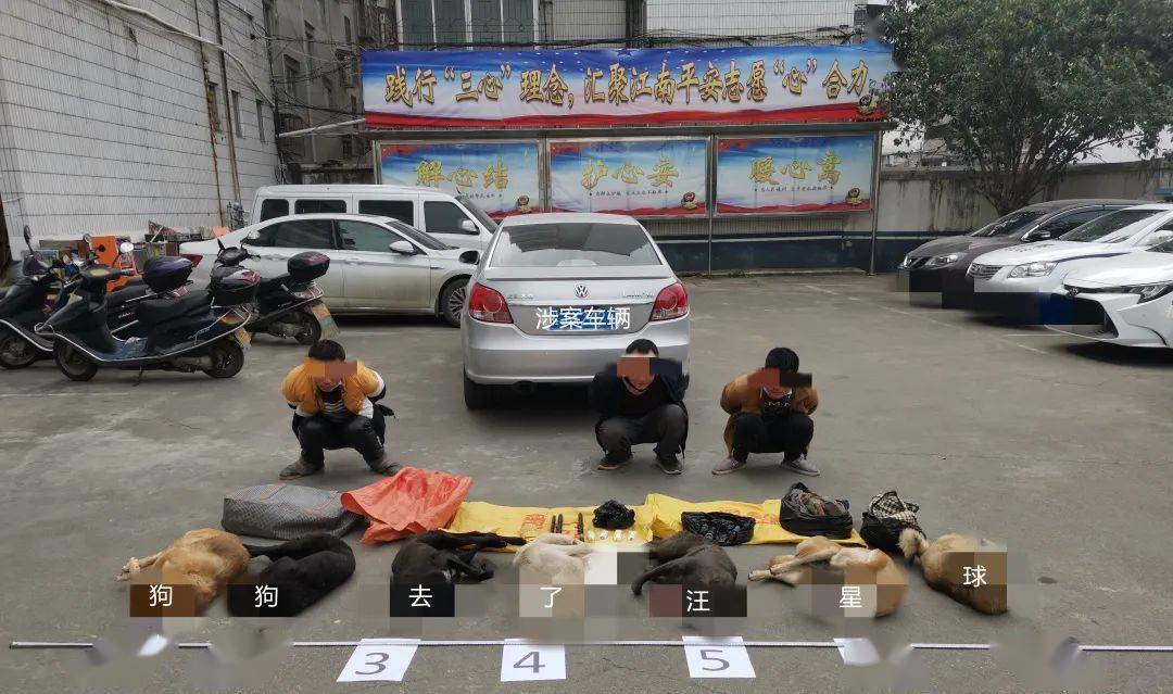 跨三省专业偷狗团伙在贺州被抓