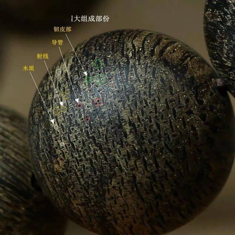 天然沉香四大结构特征,及好沉香如何定义!