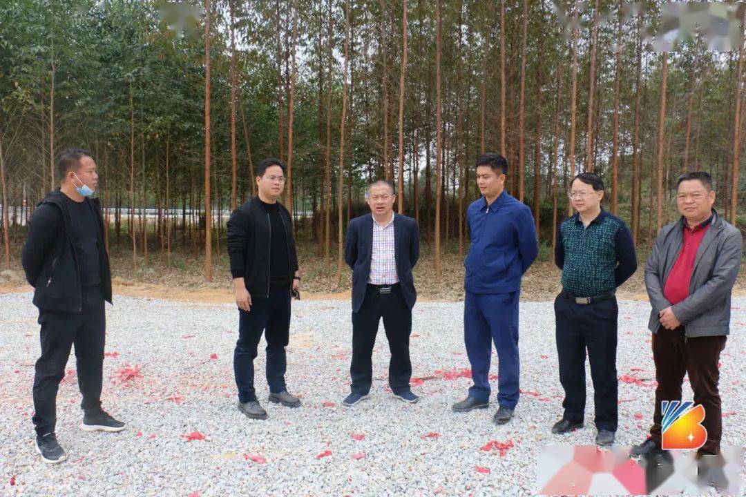 2月1日,副县长黄雪华带队深入南宁至湛江高速公路项目沿线乡镇督查