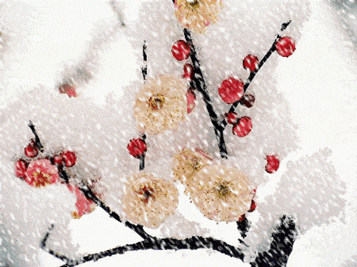 动态壁纸梅花飘着雪花图片