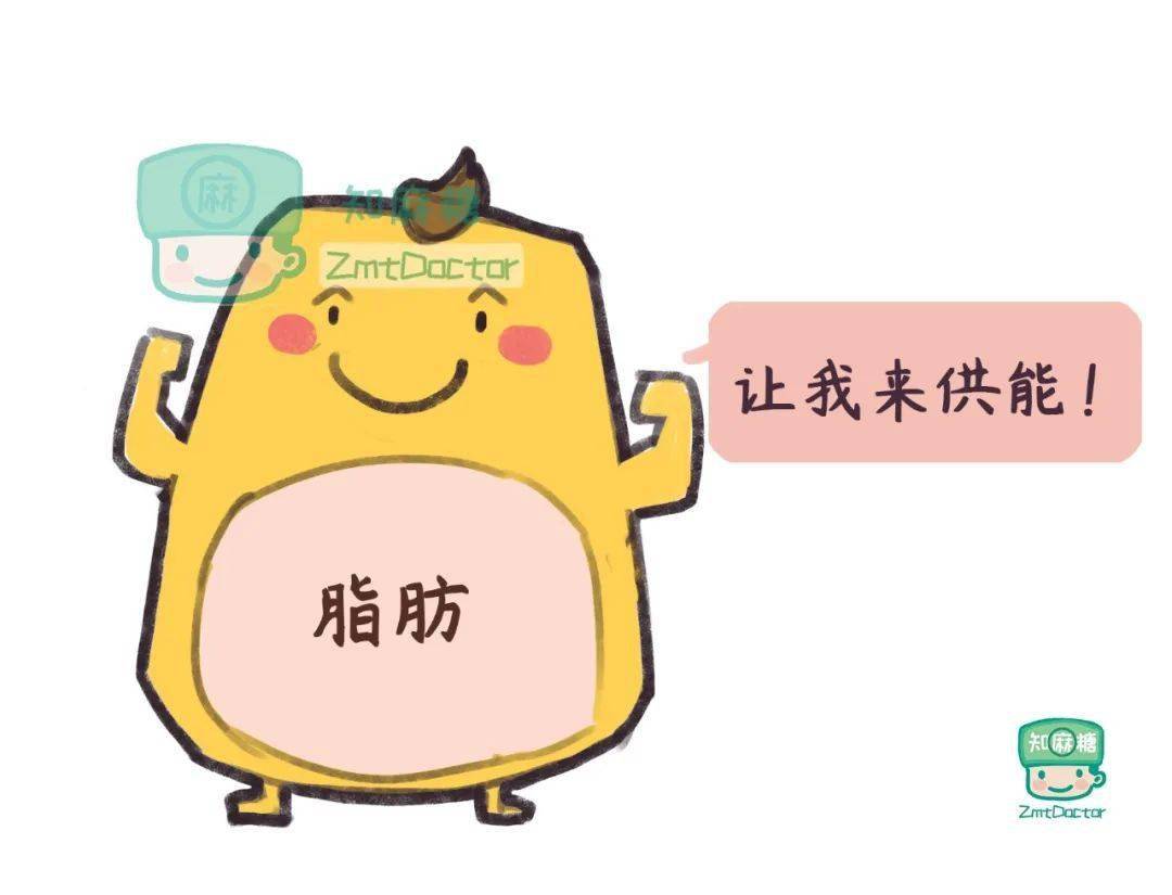 吃出来的脂肪,还得靠吃把脂肪甩 掉 !