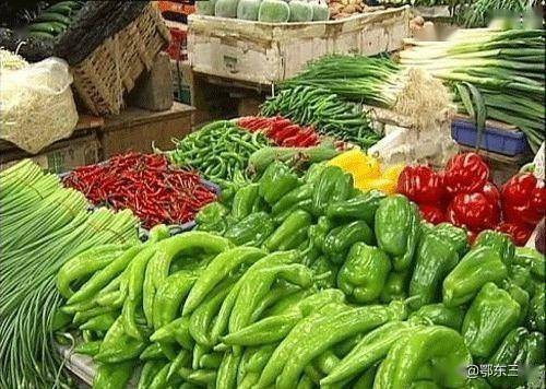 现在露天能种什么菜 30fe20063f884d349e2b6c72453715fe.jpeg