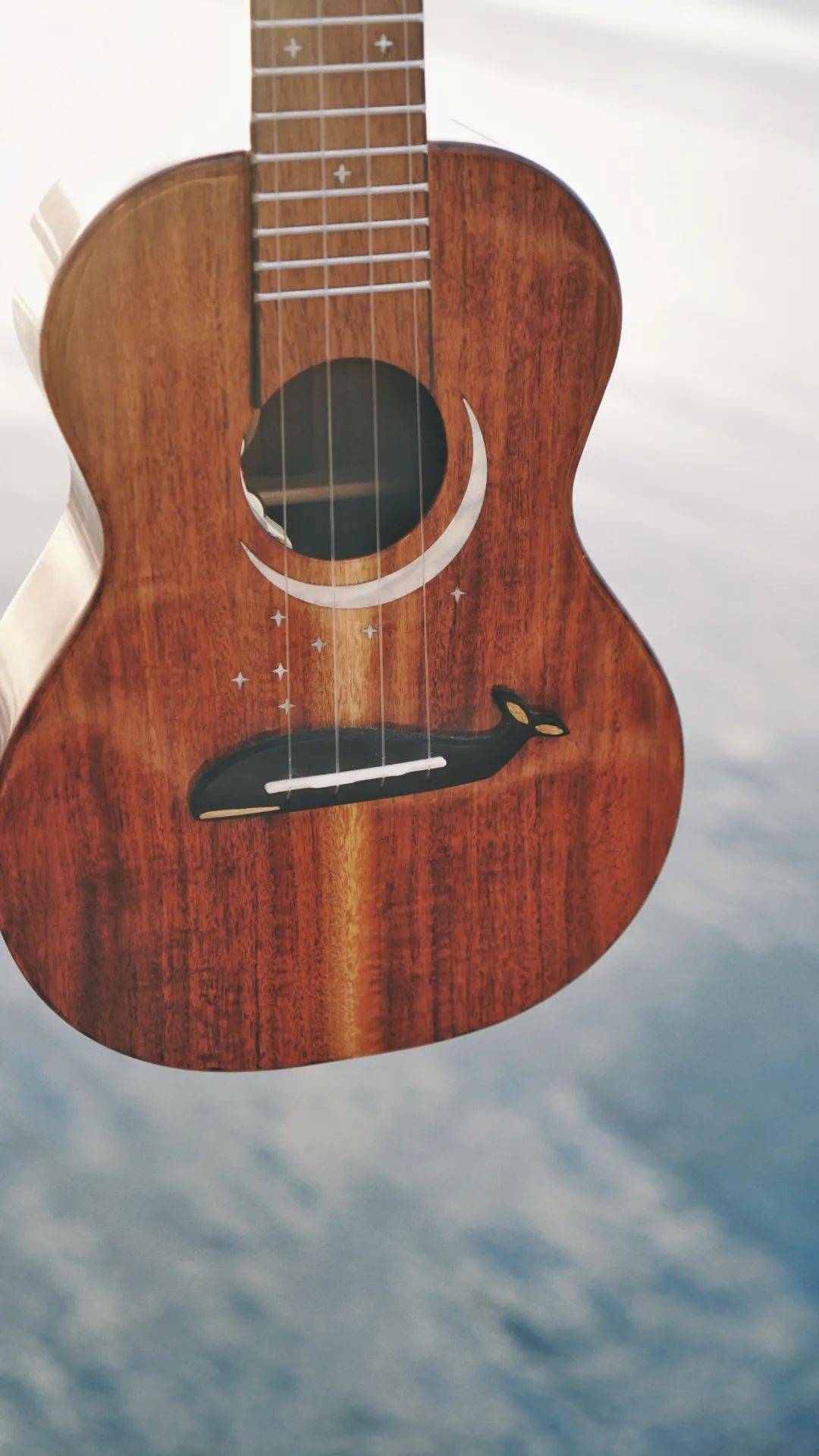 世界上最孤独的鲸，52赫兹鲸鱼Alice，他的歌声你听过吗？_搜狐网