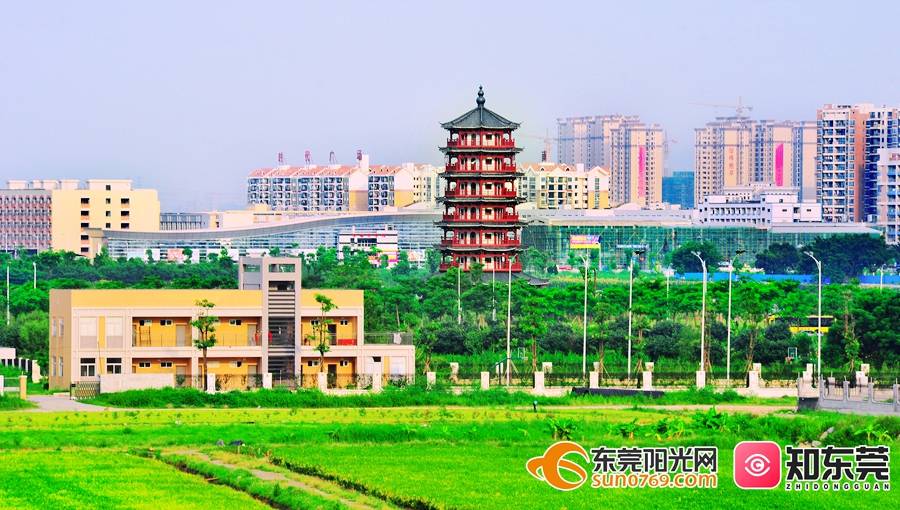 一半山水一半城最近麻涌这条村又添了一个省级荣誉