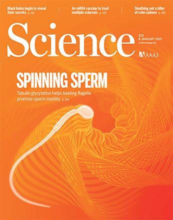 运动|《科学》：精子向前冲的关键发现了