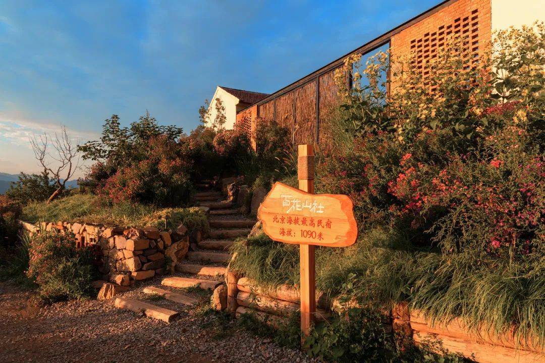 回首百花山社的2020年,共同迎接2021年的美好!