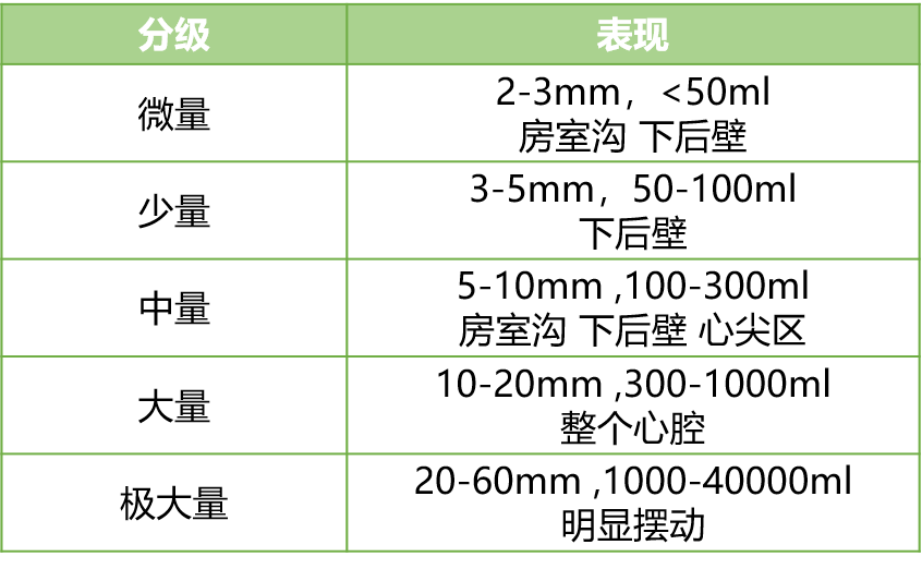 6.心包积液分级5.下肢深静脉瓣功能不全分级4.心血管狭窄分级3.