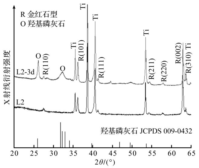 经 l2 水热处理的试样浸泡 3d 的 sbf 前,后 xrd 图经 l3 水热处理的