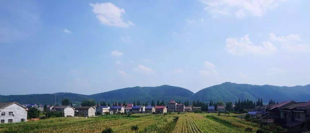 安乡哪个镇的姑娘最好?看完别不服气!