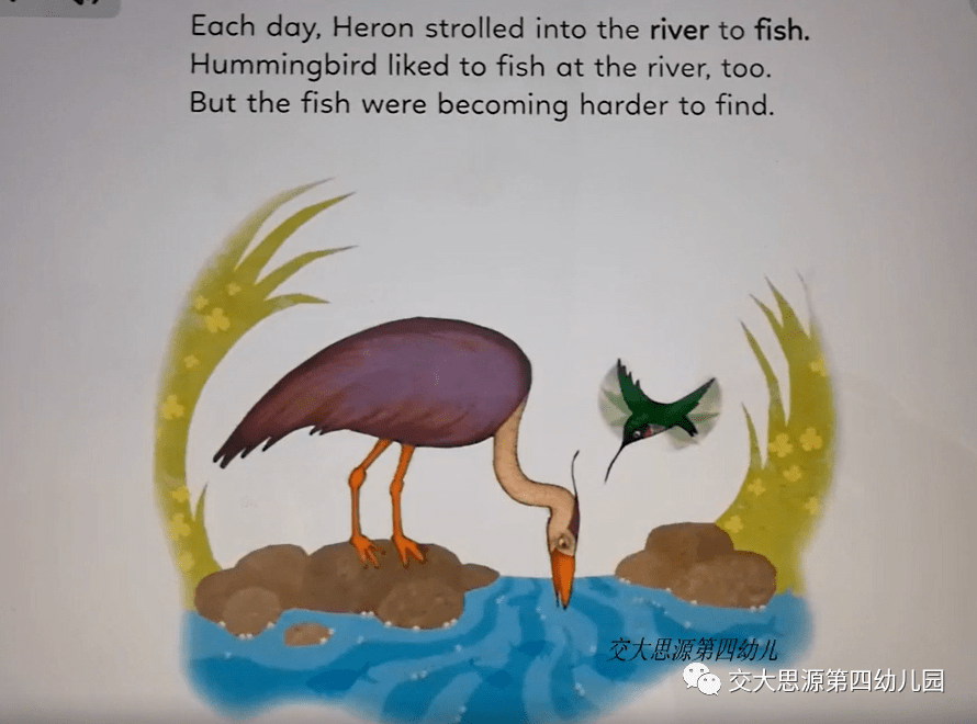 四幼播报 英语亲子绘本hummingbird And Heron Share