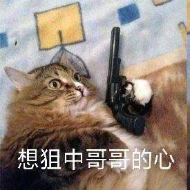 第69期喵表情 | "你要实在闲,就给我来当两天qq宠物!"_白嫖