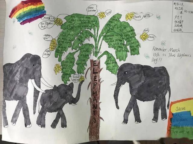 为了鼓励孩子们主动和快乐的运用好思维导图,吴晓燕老师以小组合作的