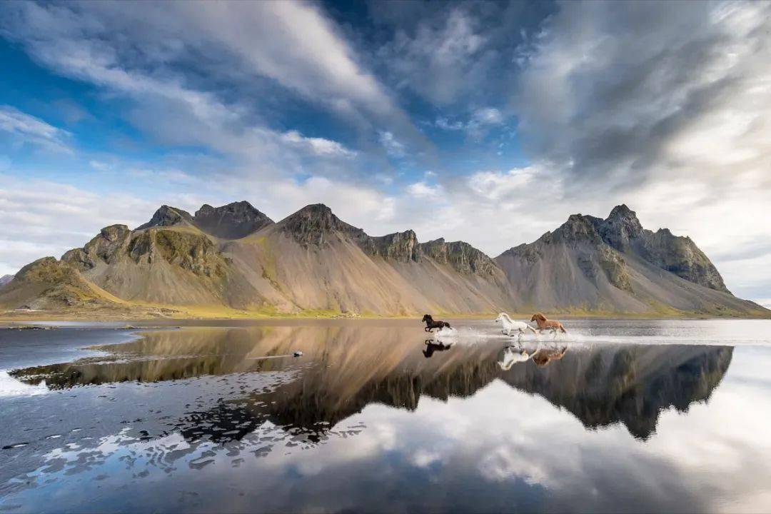 冰岛驻华大使预祝2021中国马会北京时间取得圆满成功