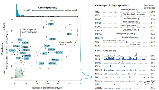 什么是基因突变的特点 16d890e4bf784953bd6c259528f1f636.png