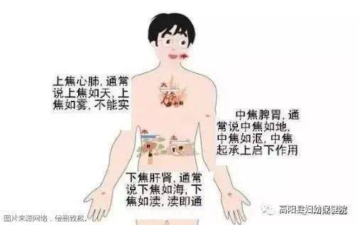 2c20cf31fd5647ae9bdf5dac54fb557e.jpeg