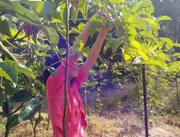 死刑残忍杀害幼女的恶魔凶手今天被执行死刑