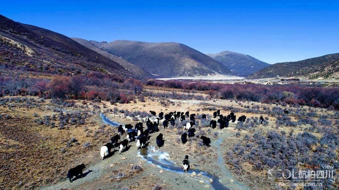 航拍凉山木里太美了小编我好想