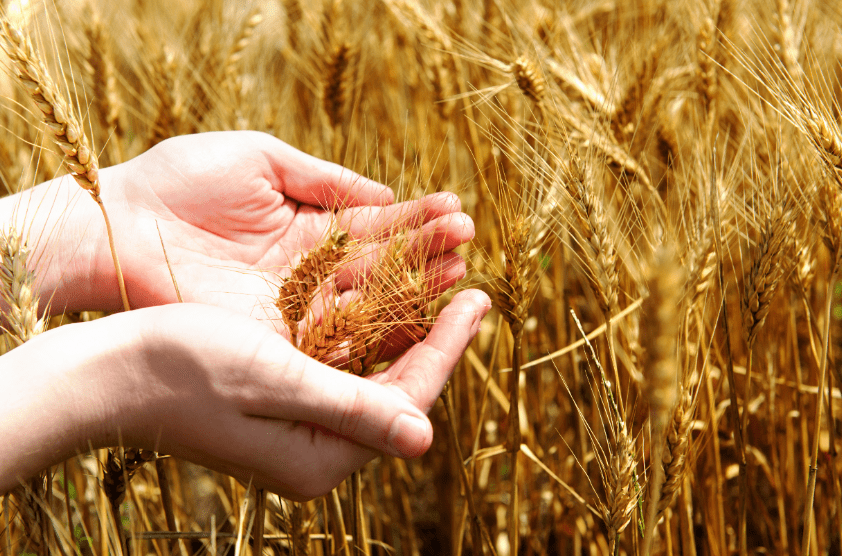 常州gdp7805亿_常州恐龙园图片(3)