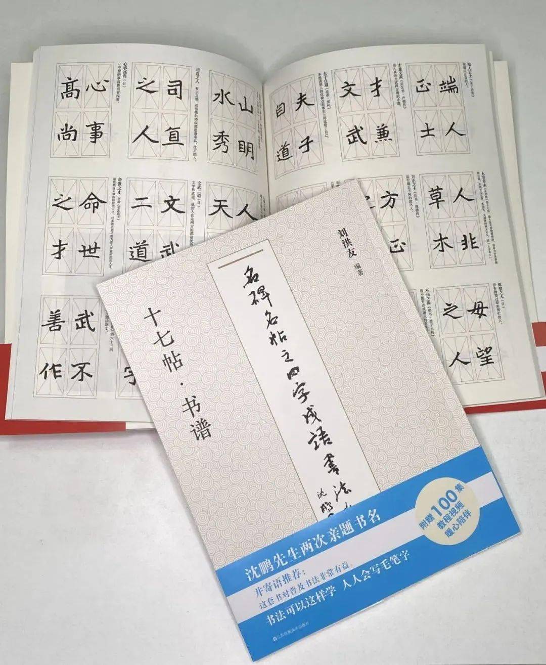 首发 集聚30余年教学经验的实用字帖 书法
