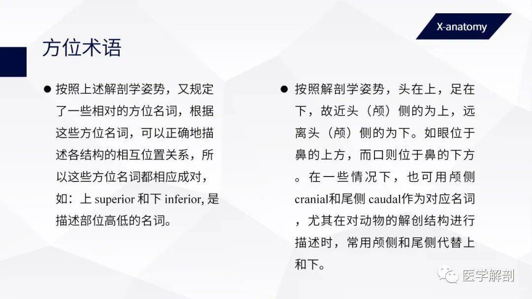 人体解剖学常用解剖学术语学解剖必看